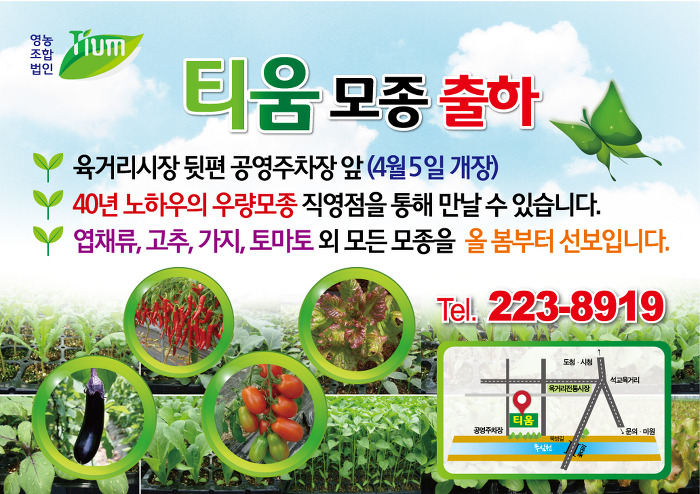 육거리고추 이미지