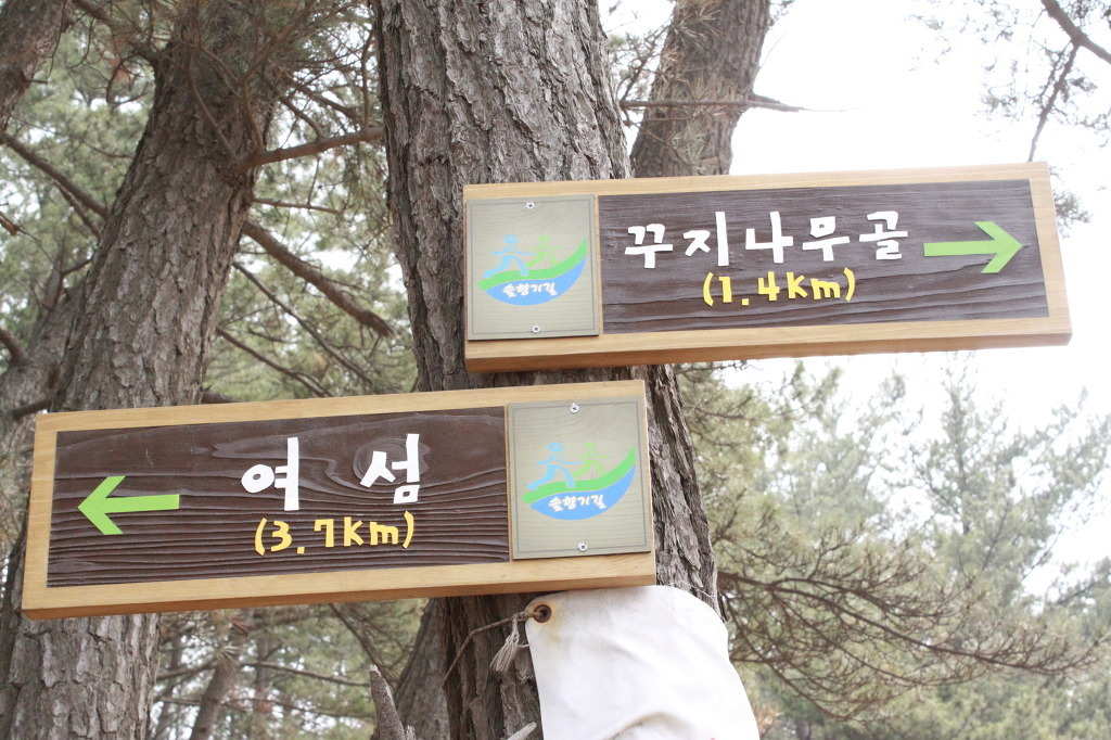 솔향기환경 이미지