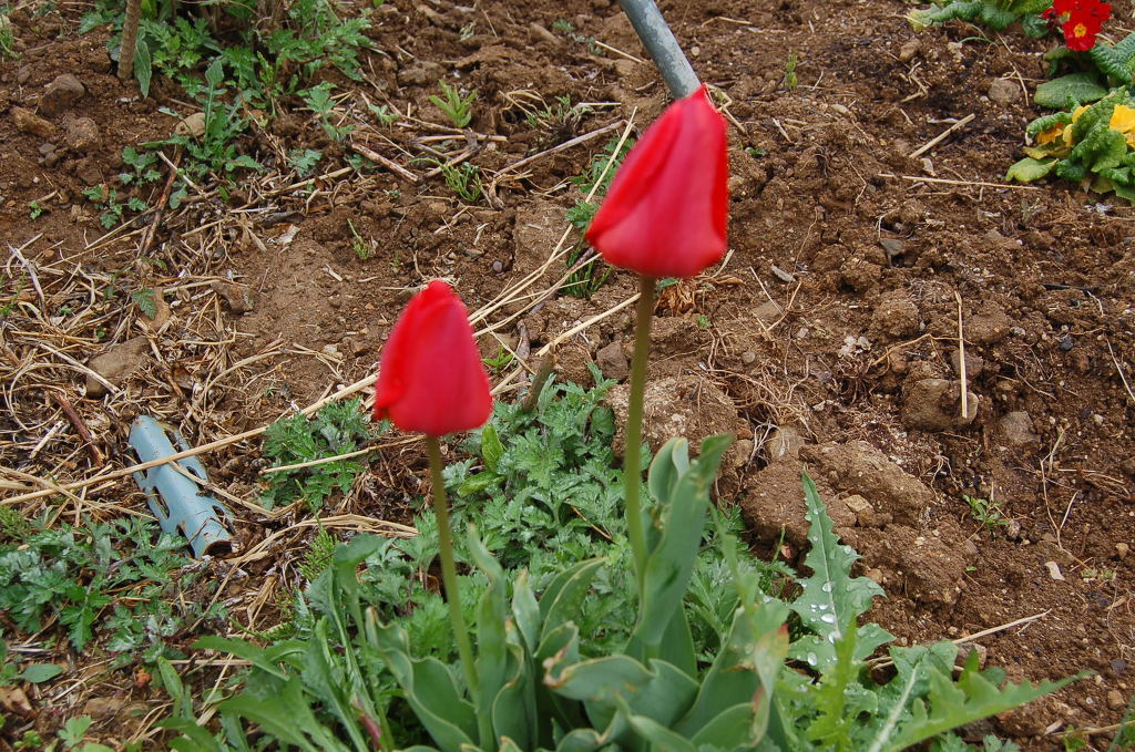 산들농원 이미지