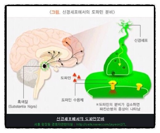 도파민 이미지