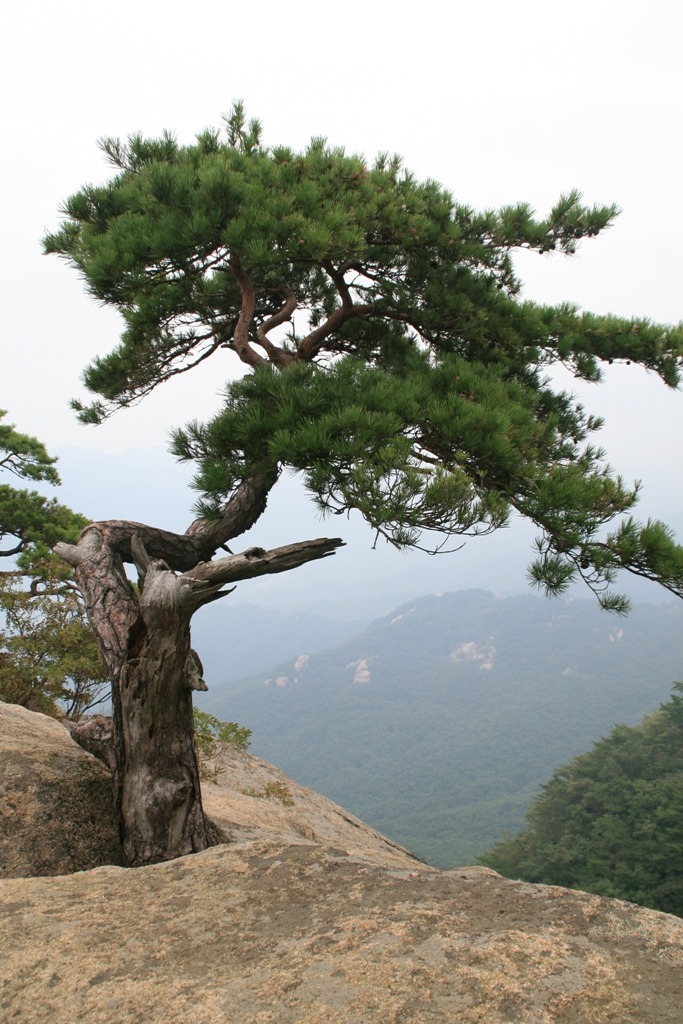 용화정 이미지