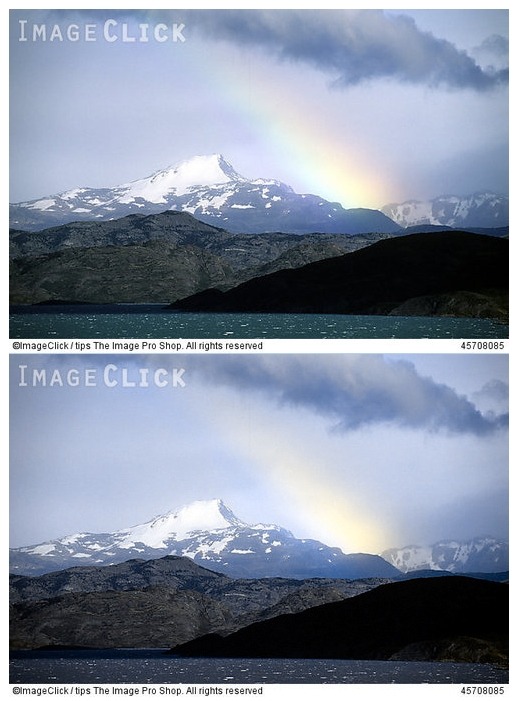 색맹이 보는 세상 | 인스티즈