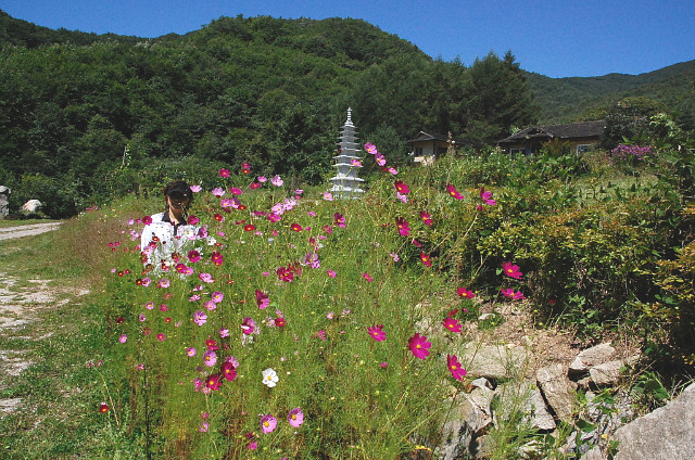 명지사 이미지