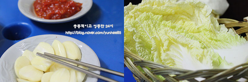 뚱보집 이미지