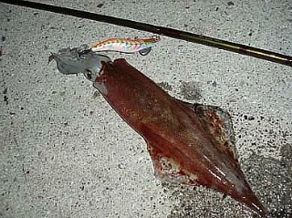 12033B564DE1F1E60F2198