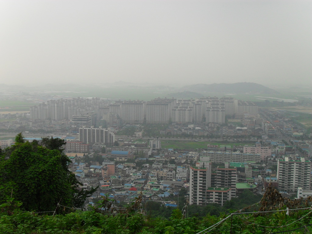 선달바우 이미지