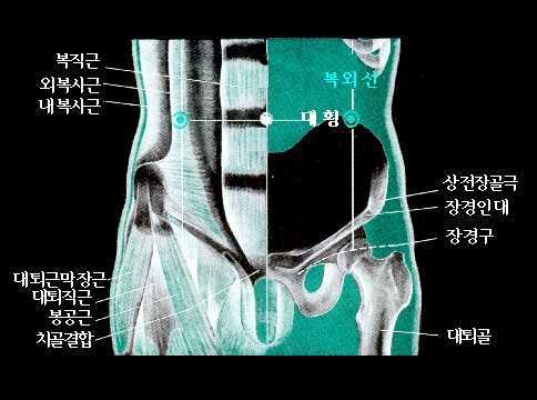 태음 이미지