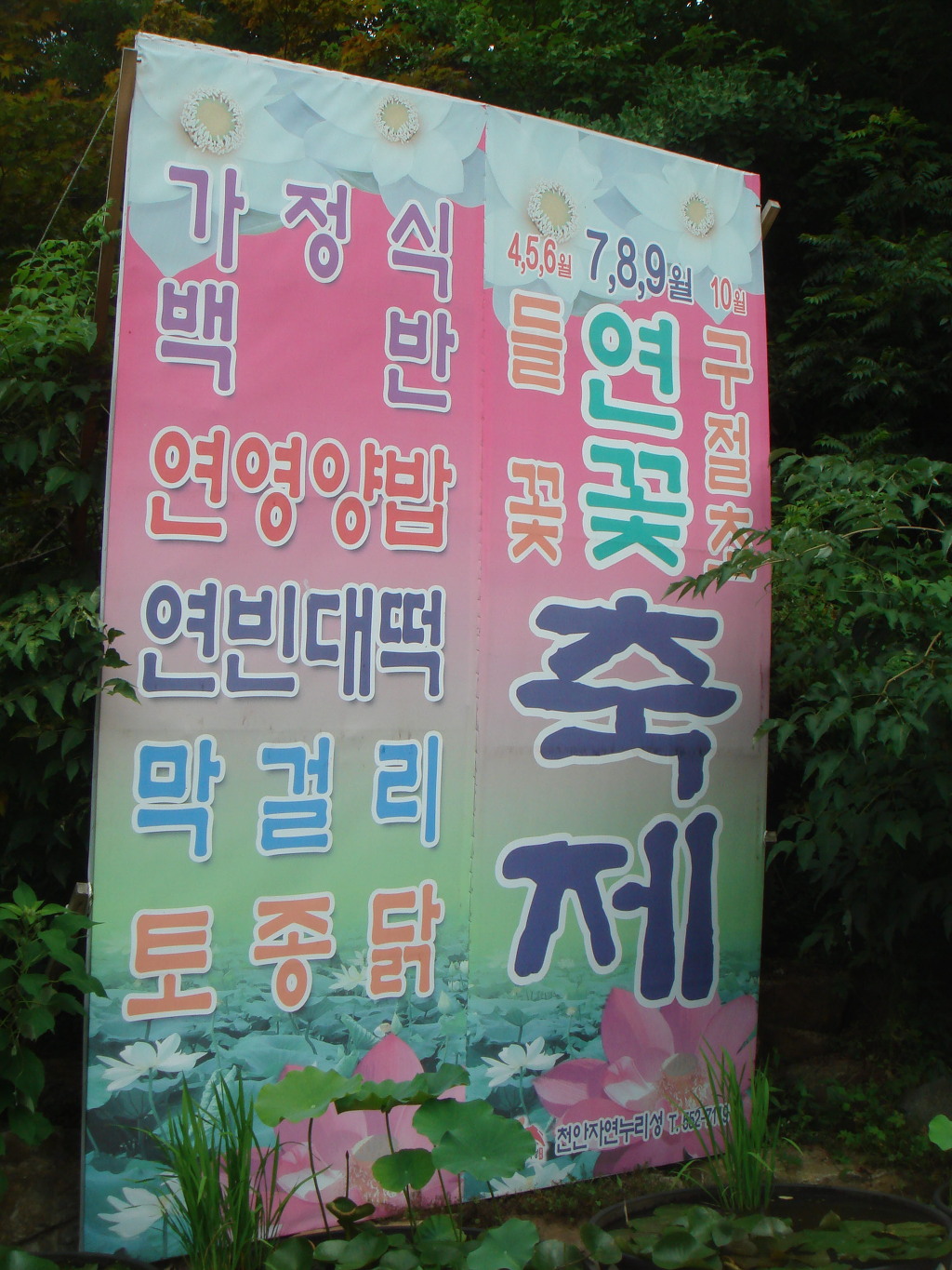 연꽃향기천연염색 이미지