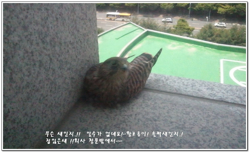 평양옥 이미지