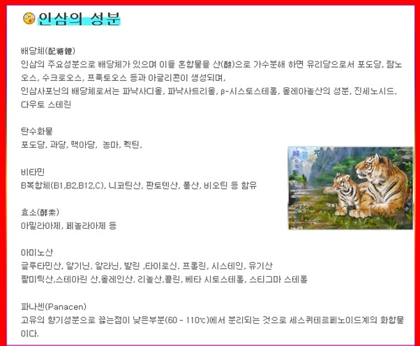 중앙인삼 이미지