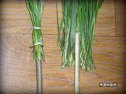 풀각시 이미지