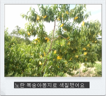 우정농원 이미지
