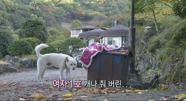 [짝] 역대 최고 찌질남 16기 남자5호 마지막탄 ㅋㅋㅋ | 인스티즈