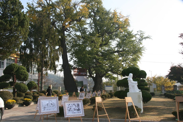 면천초등학교 이미지