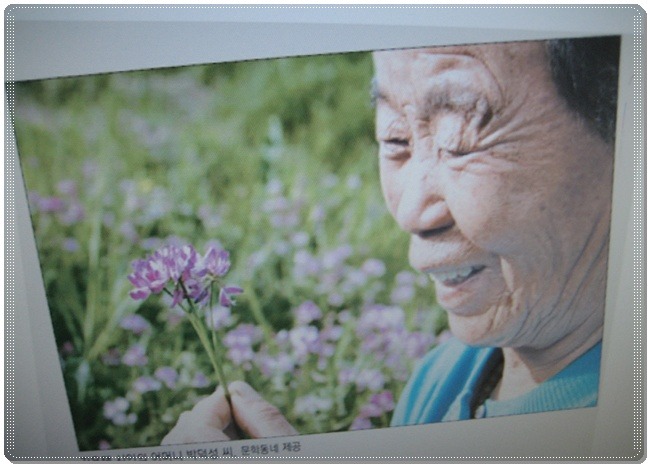 당신이꽃 이미지