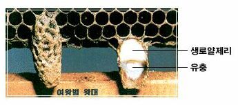 동성식품 이미지