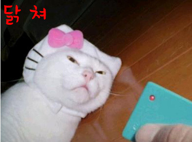 와써 이미지
