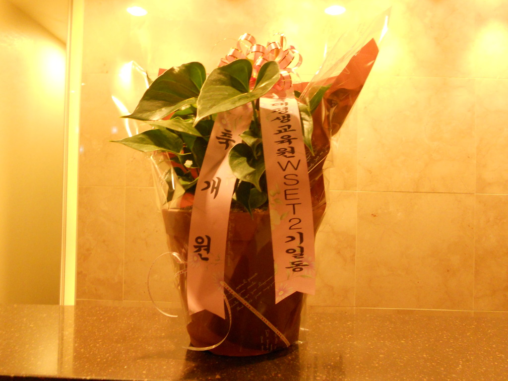 청소믈리에 이미지