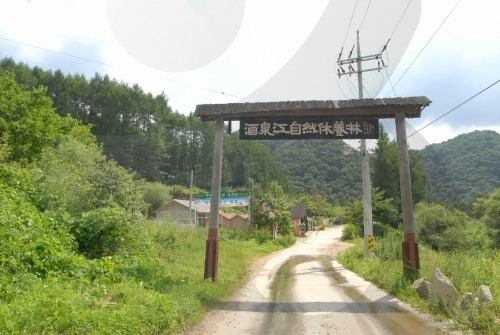 주천강강변자연휴양림 이미지