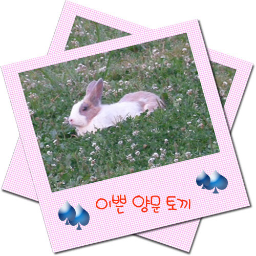 아이이뻐 이미지