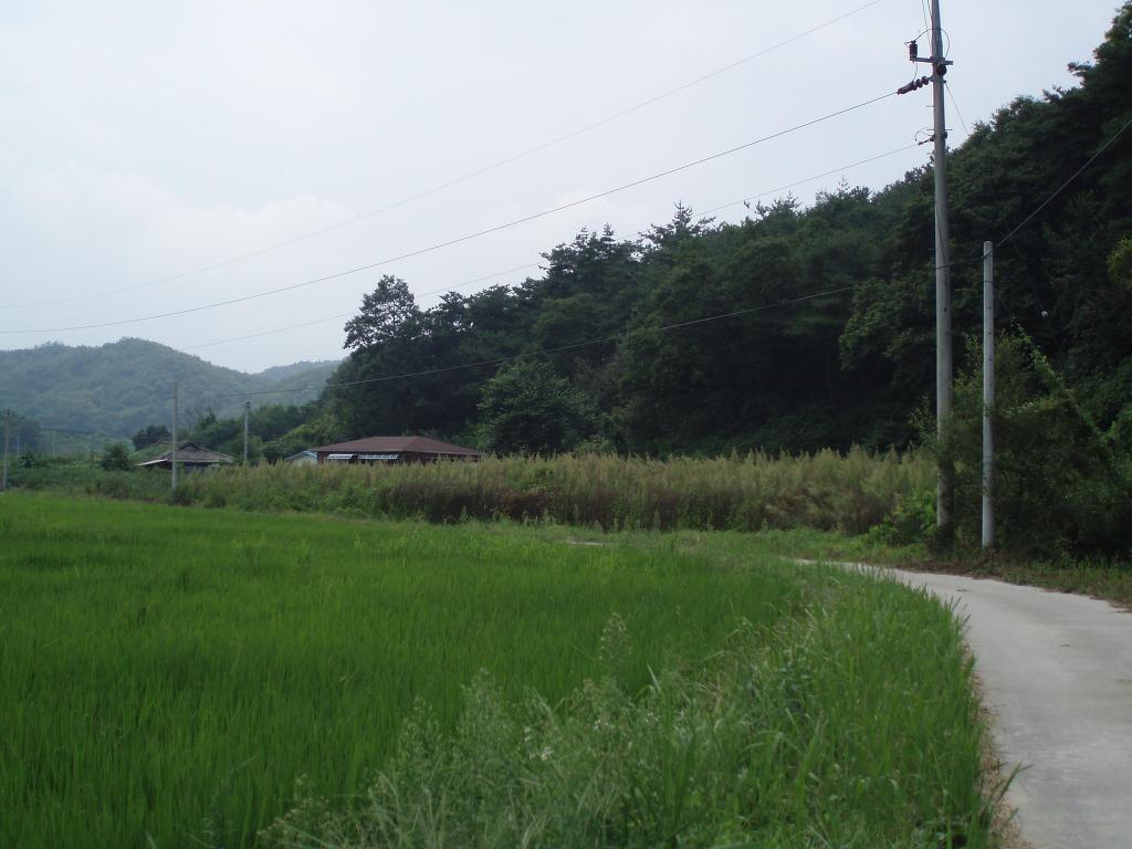 이레농장 이미지