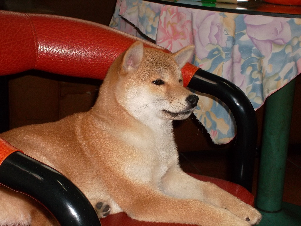 순이 이미지
