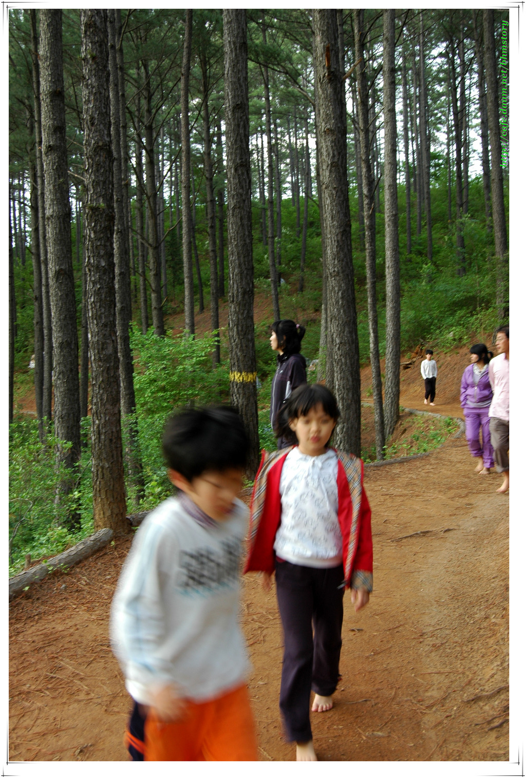 백운산캠핑장 이미지