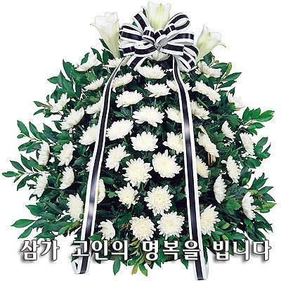전*영 이미지