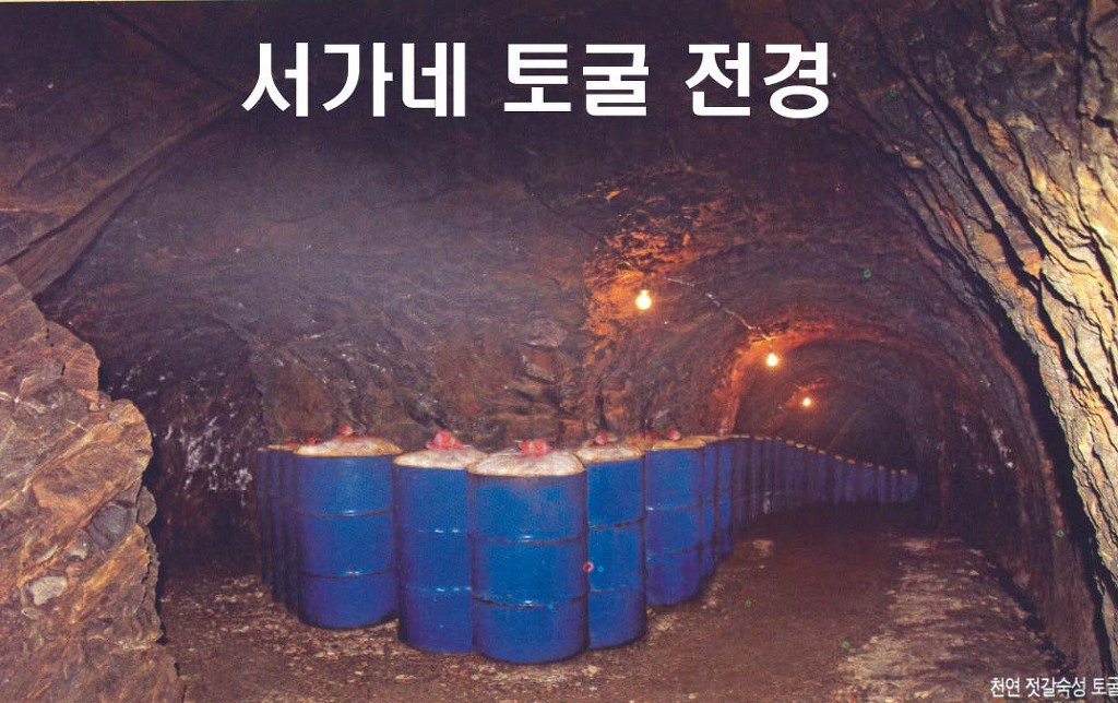 광천토굴식품 이미지