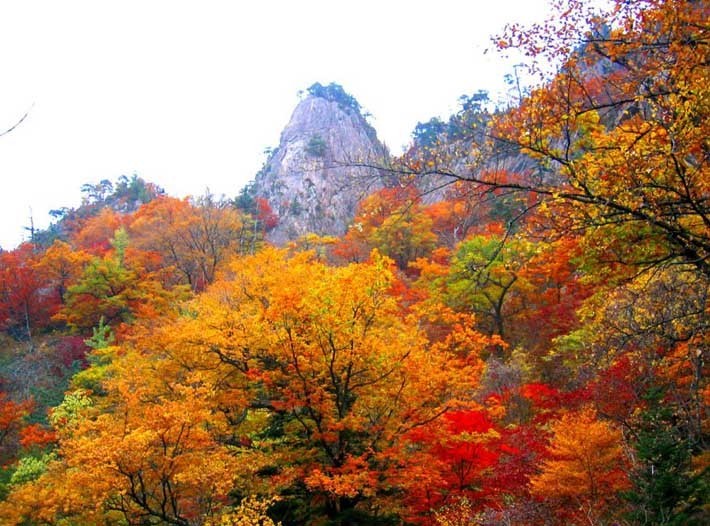 명신모자 이미지