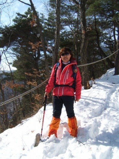 예쁜여우 이미지