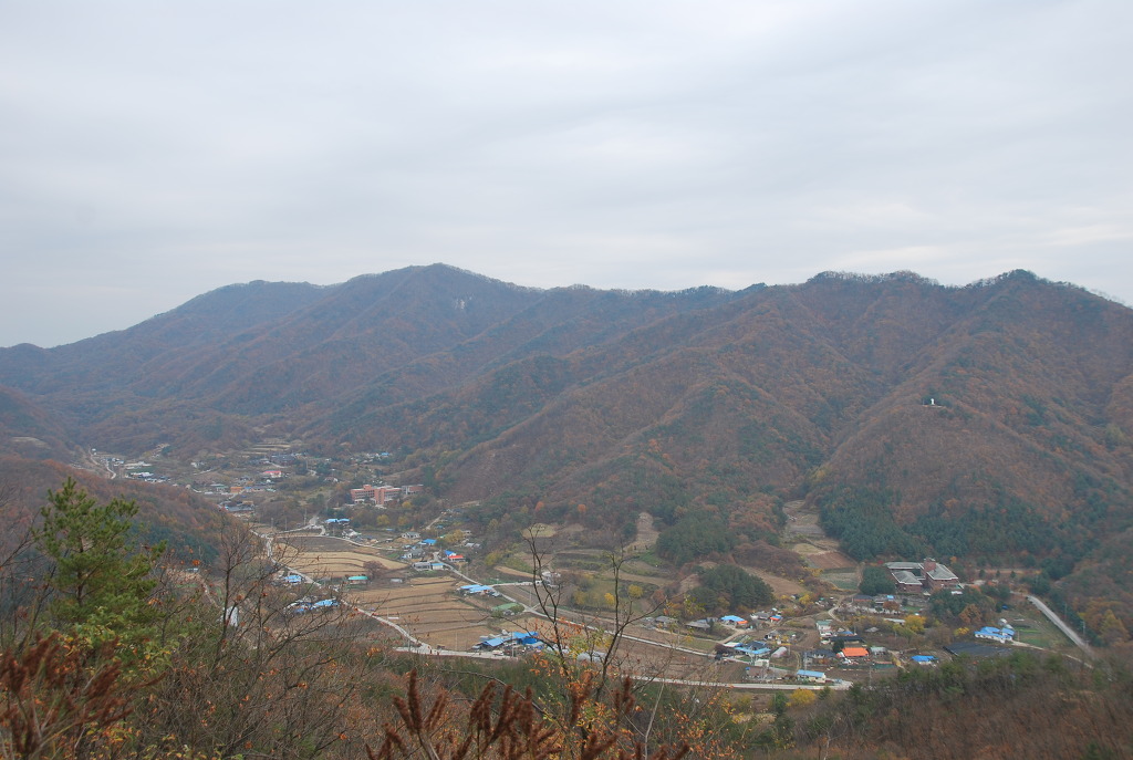 캠프여주 이미지
