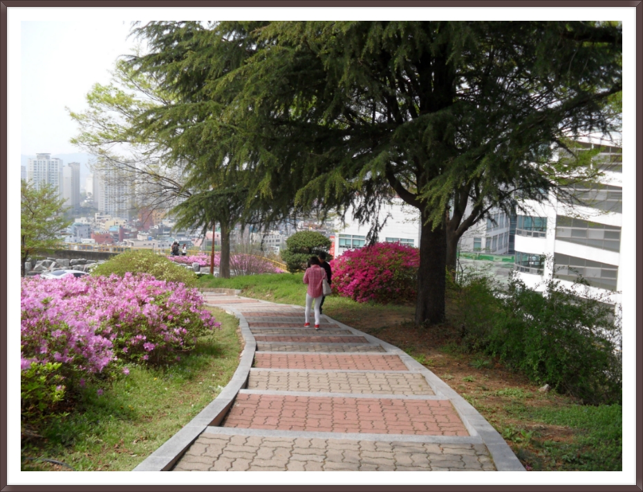 조선대학교병원 이미지