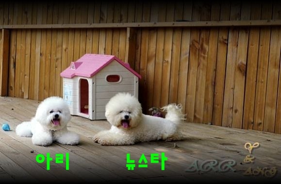 카페애띠 이미지