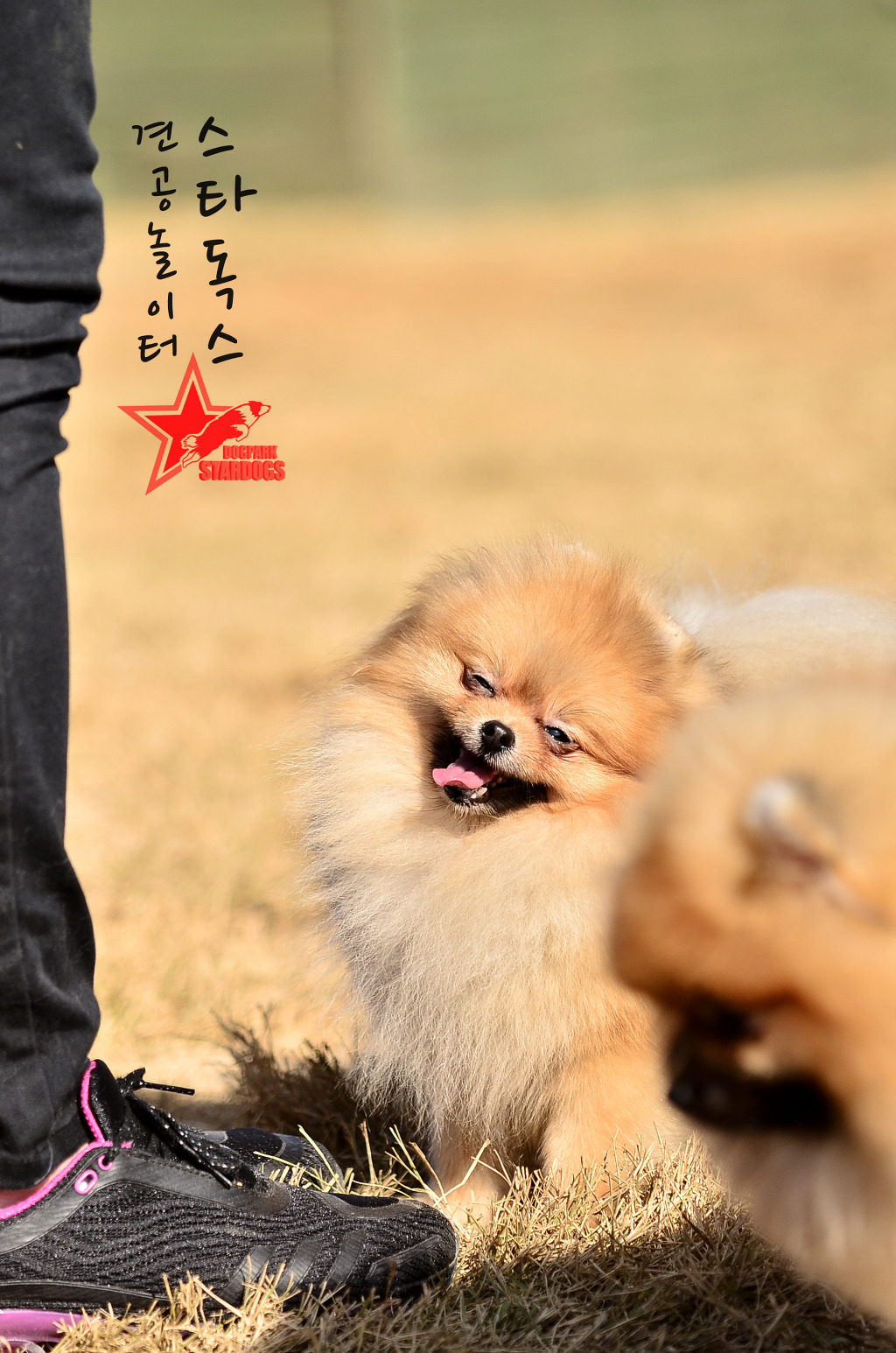 단비 이미지