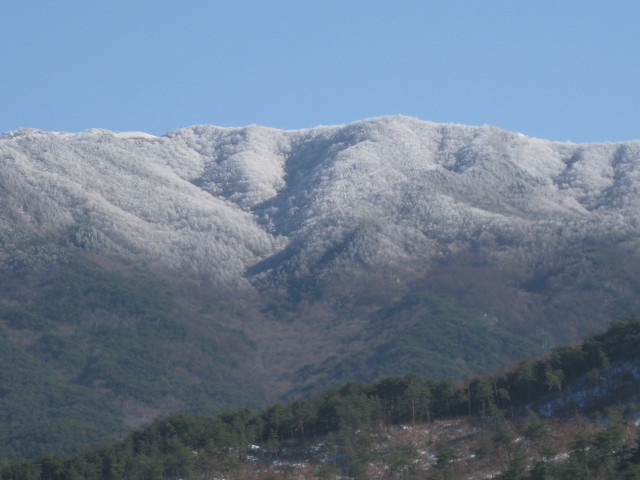 지리산농원 이미지