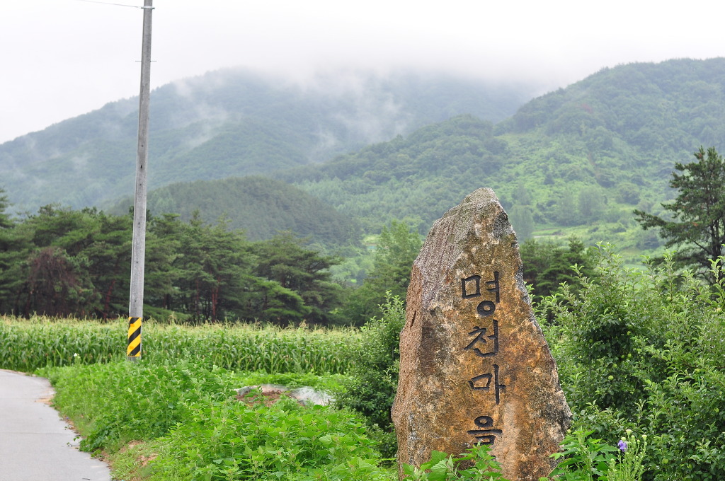 명천솔밭 이미지