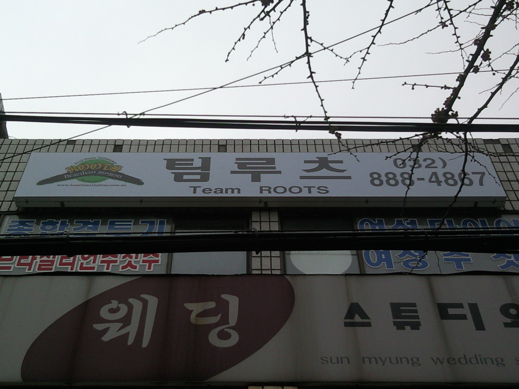 팀루츠 이미지