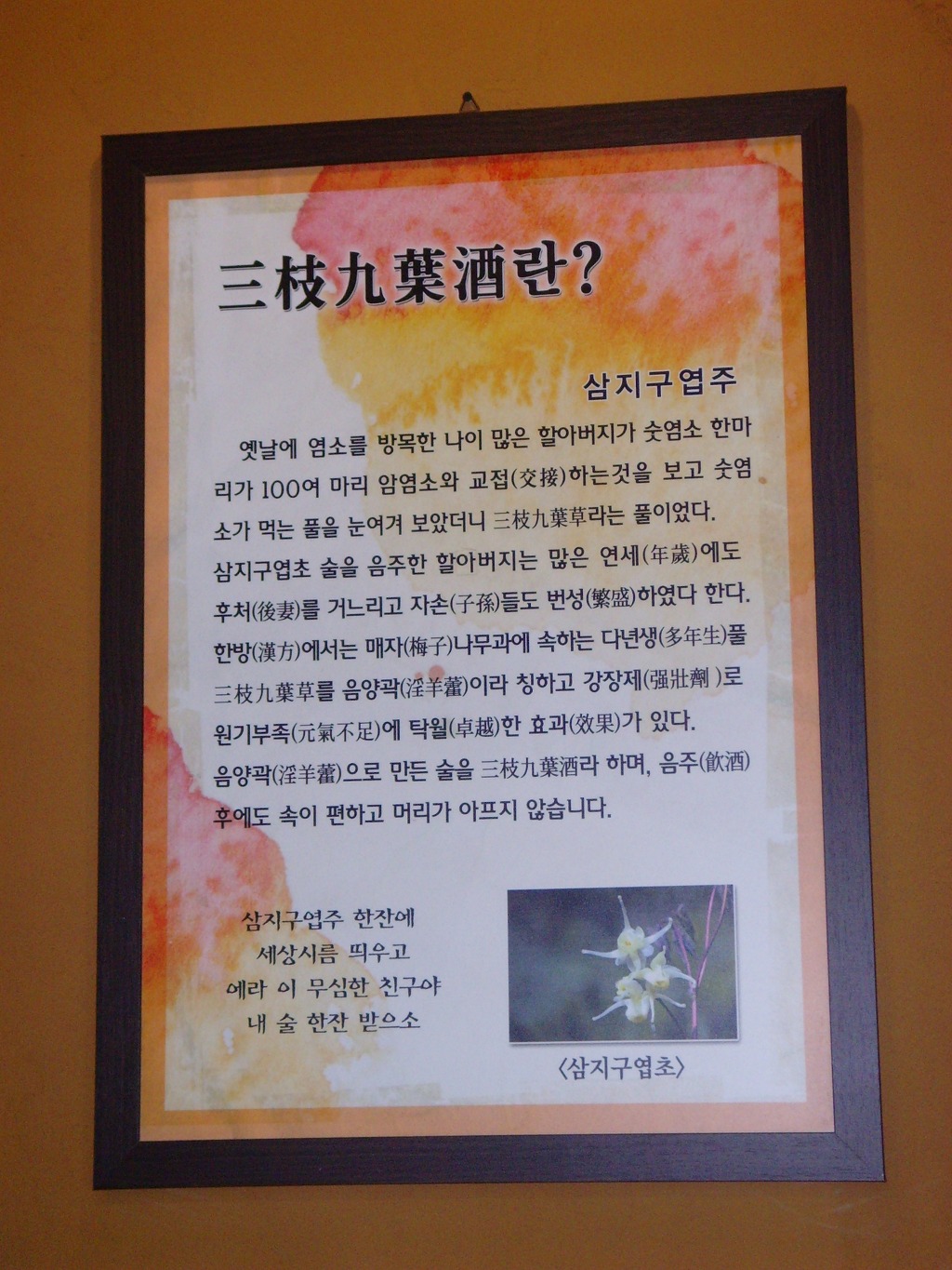 약산흑염소가든 이미지