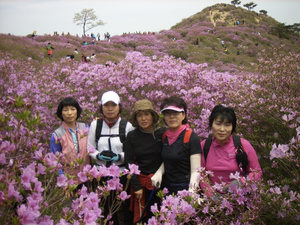 한국전력공사구미지점 이미지