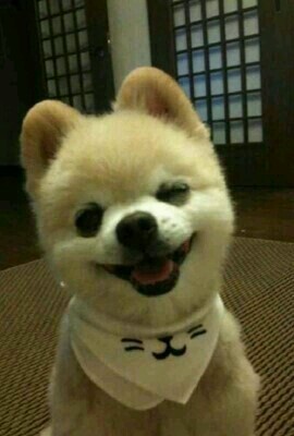 벨린다 이미지