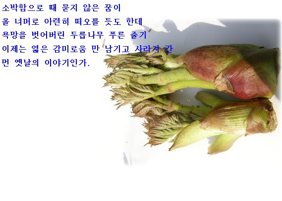 꿈의동산 이미지