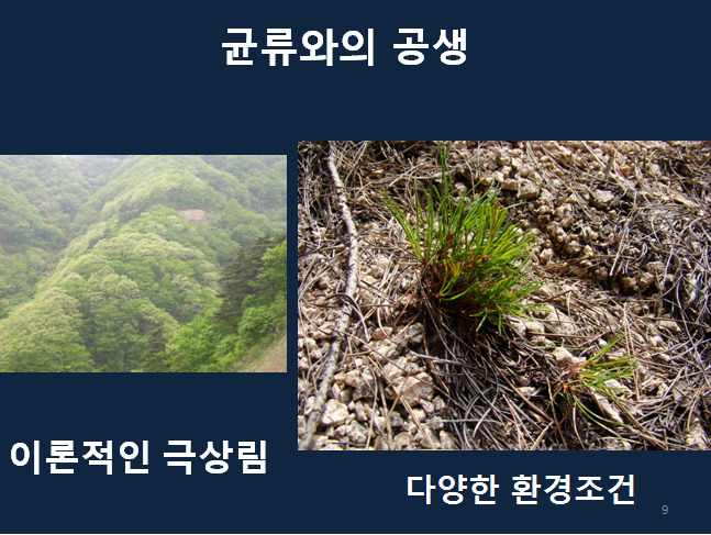 씨드림 이미지