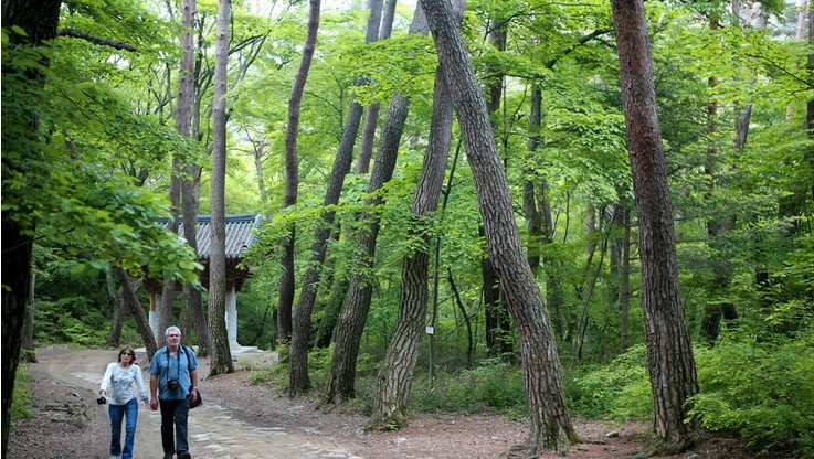 태산안전 이미지