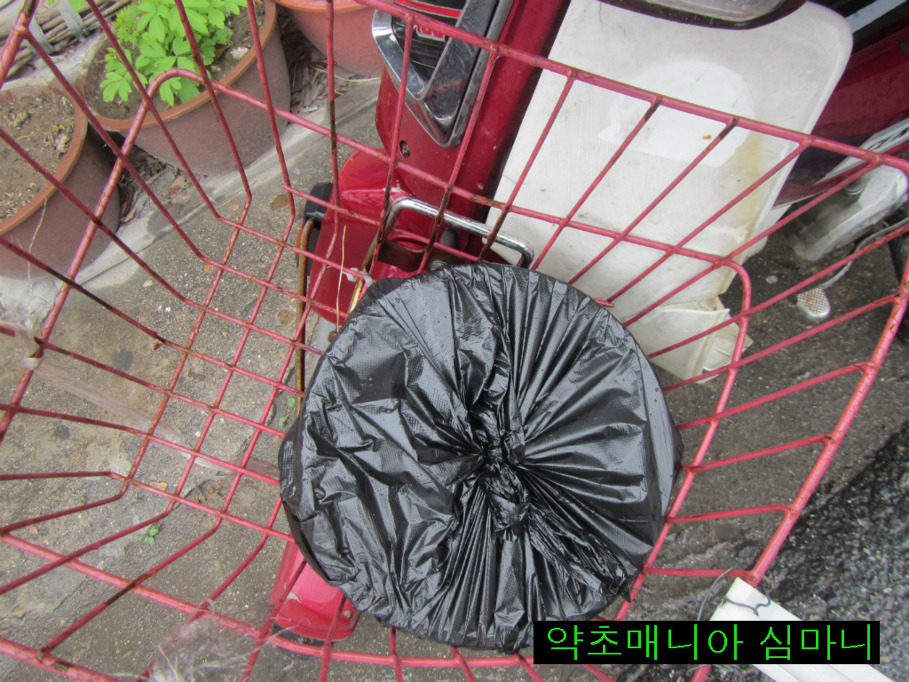 등대식당 이미지