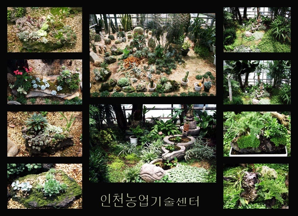 온실정원 이미지