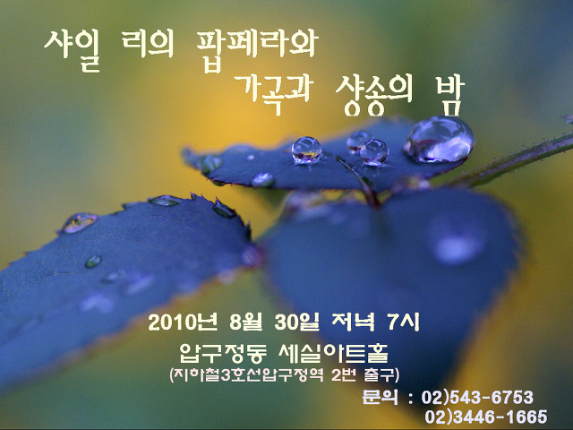 샤일 이미지