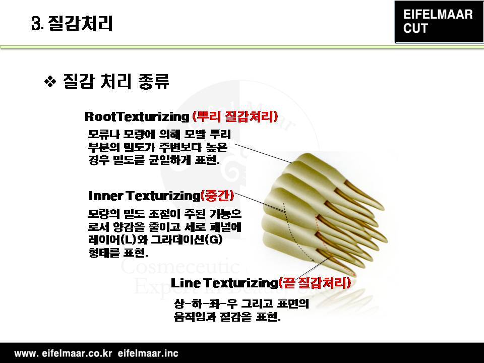 레이어21 이미지