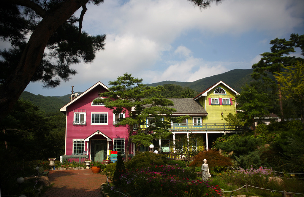 모화 이미지