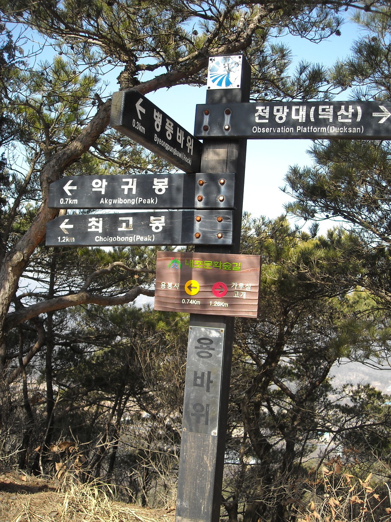 인천수산업협동조합 이미지